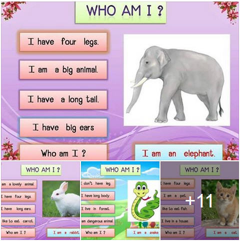 ѧ Who am I? ¤Ѿѵ