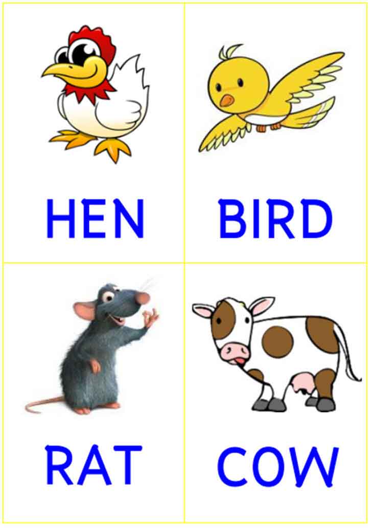 ͡¹͹ ѵäѾѧͧ ѵ Animal