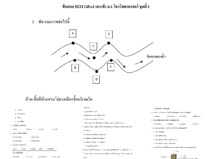 ͡¹͹ ͺ+ SEM Gifted  .1 ԪԷʵ​ ش 1