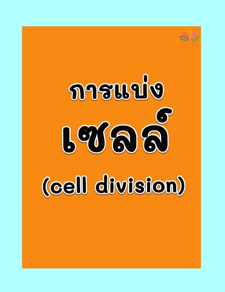 ฟรีสื่อการเรียนการสอน การแบ่งเซลล์ (cell division)+แนวข้อสอบ