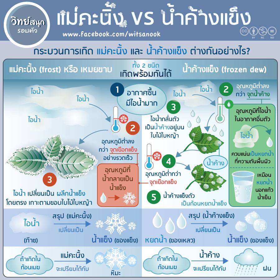 й ¢Һ Ӥҧ ͹͵ҧѹҧ?