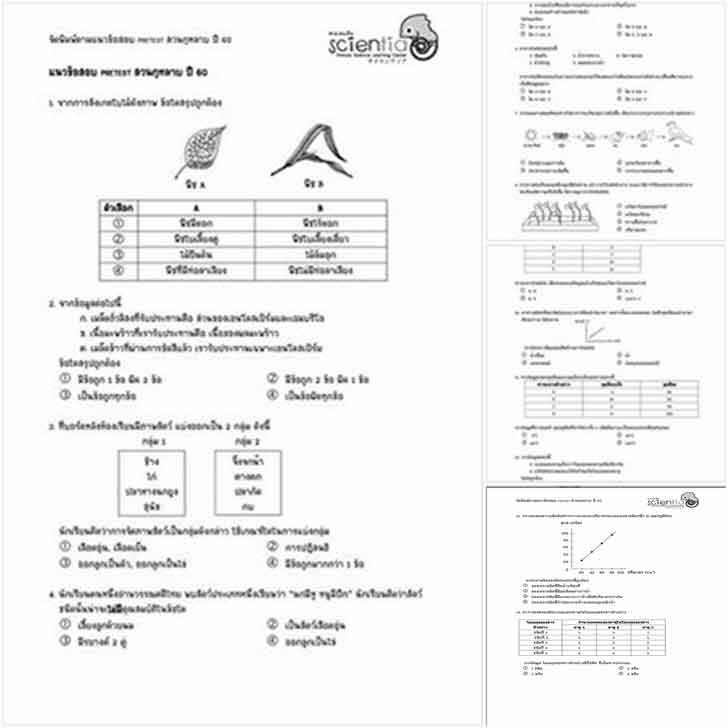 ͡¹͹ ԪԷʵ ͺ .1 Ǣͺͧ "Pretest ǹҺ  60" 30  