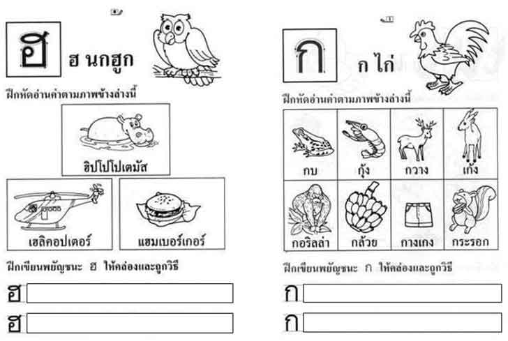 ������͡�����¹����͹ ˹ѧ����������Ẻ�֡�Ѵ��ҹ�� �-� ���ٻ����Ѻ�к����