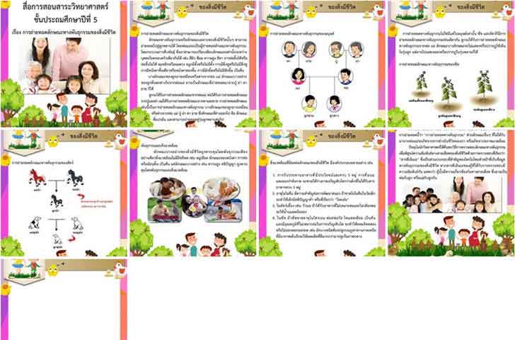 ͡¹͹ 㺤ͧ ö·ʹѡɳзҧѹء ԪԷʵ  .5