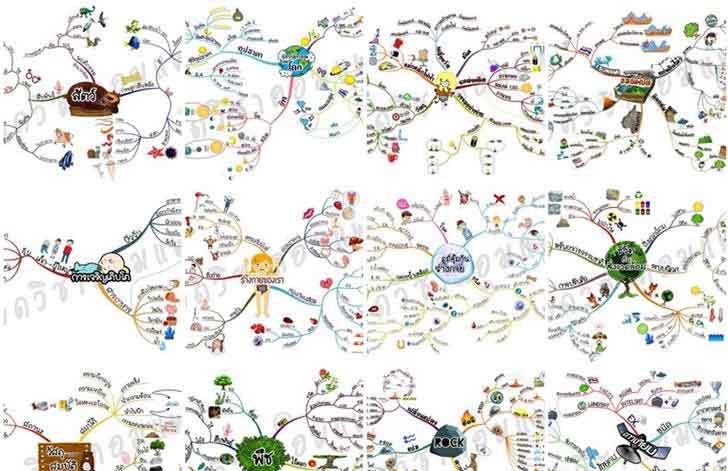 ͡¹͹ Mind Mapping 14 Ǣ ԪԷʵѺͧ .6 ѧͺ O-net ͺ .1