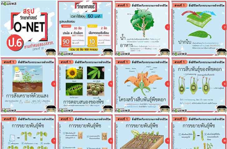 ͡¹͹ ͺ O-NET з 1 ժԵѺôçԵ ԪԷʵ  .6