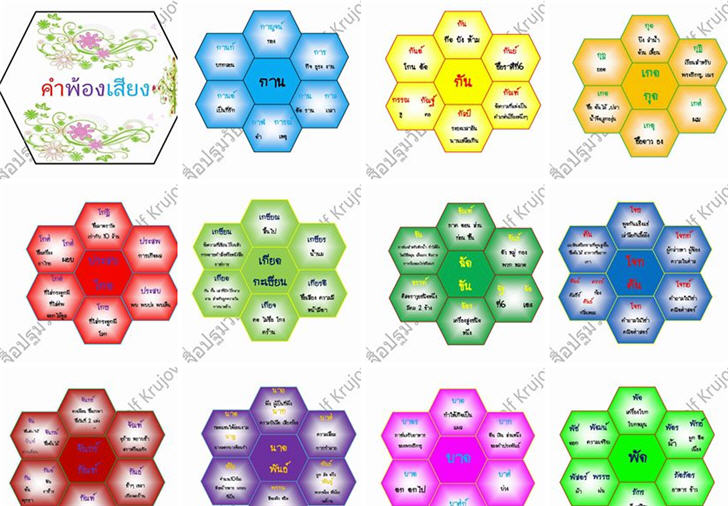 ������͡�����¹����͹ �Ӿ�ͧ���§�ٻ�ѧ���