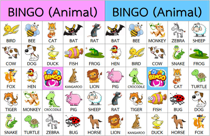 ������͡�����¹����͹ �ԧ��ѵ�������ѧ��� Free Animals Bingo
