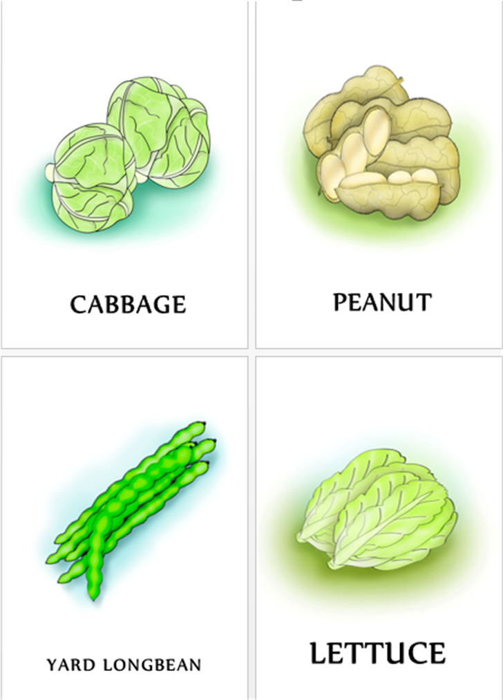 ������͡�����¹����͹ �ѵä�����ǡѺ�ѡ 20 ��