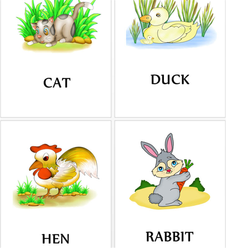 ������͡�����¹����͹ �ѵä������ѧ�������ǡѺ�ѵ�� 40 ��