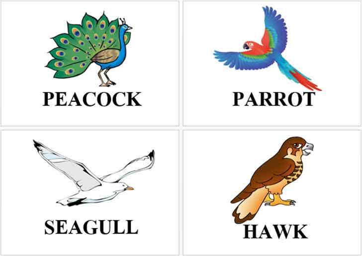 ������͡�����¹����͹ �ѵä������ѧ�������ǡѺ�ѵ��ա 20 ��