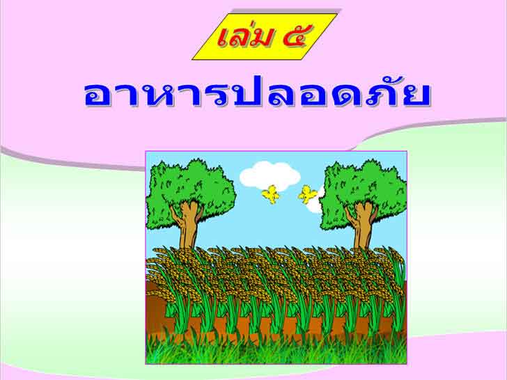 ������͡�����¹����͹ �ش�֡�ѡ�С����ҹ�Ѻ㨤��� �.2 ����ͧ ����û�ʹ���