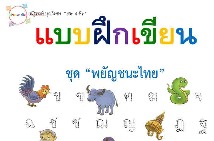 ������͡�����¹����͹ Ẻ�֡��¹�����»�� �ش ��ѭ�����