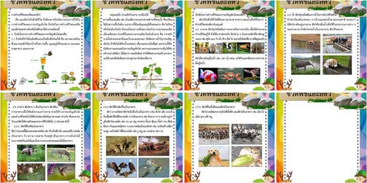 ͡¹͹ 㺤ͧ Եתѵ ԪԷʵ 