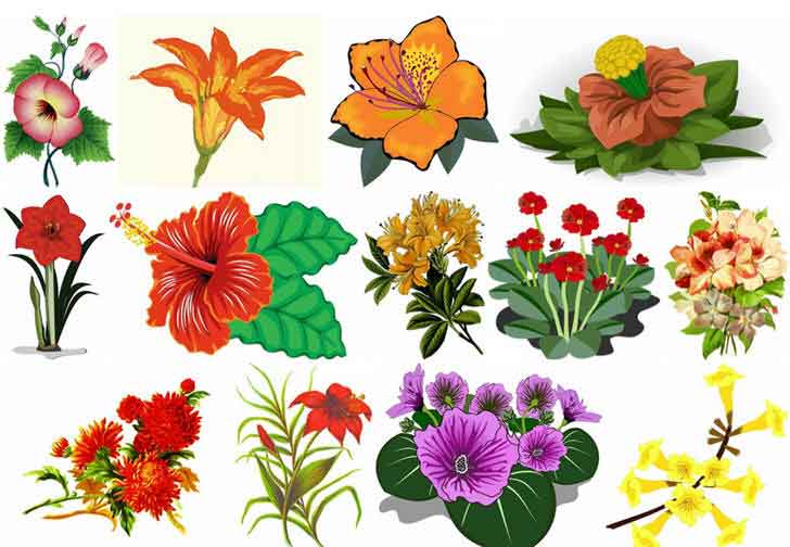 ͡¹͹ Clip Art Իٻ͡ Ҿ͡Ѻ㺧ҹ 㺤 25 Ҿ
