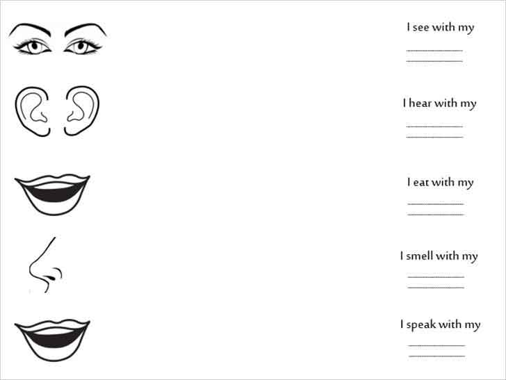 ������͡�����¹����͹ 㺧ҹ�����ѧ�������ͧ �˹�Ңͧ�ѹ face worksheet