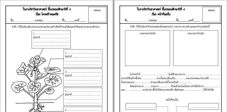 ͡¹͹ 㺧ҹԷʵ .4 ͧ çҧͧת, ˹ҷͧ, ¹ŧͧ, ҡӵ鹢ͧת к, תҧ ԧ˹ѧ Ƿ.