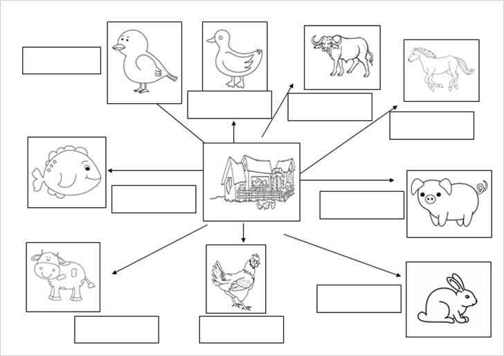 ������͡�����¹����͹ 㺧ҹ������Ѿ��ŧ��Ҿ�ѵ������§㹿���� Animals farm