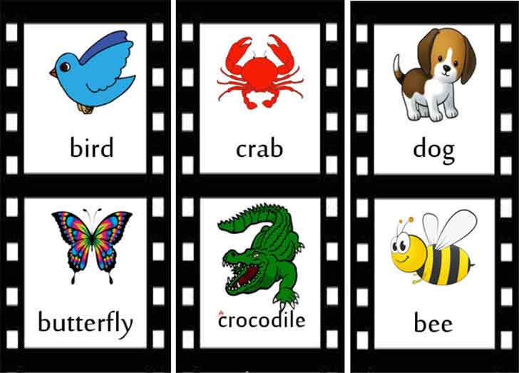 ������͡�����¹����͹ ���Ѿ���ѵ�������ѧ��ɾ�����ٻ㹡�ͺ����������Ҿ animal strip