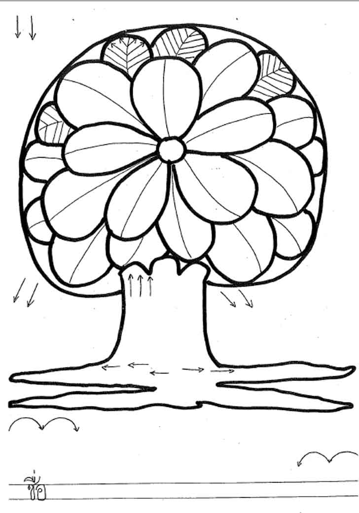 ������͡�����¹����͹ Ẻ�֡�Ѵ��Ф�Ի�Ըա�èѴ������¹����͹����ͧ "������������������ѡ���¹ �.1" �ͧ ʾ�.