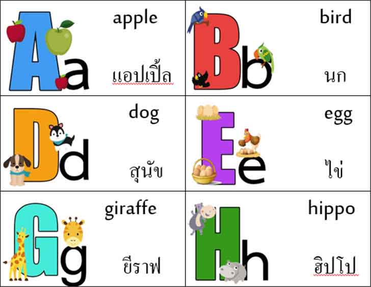 ������͡�����¹����͹ �ѵ��ѡ�� A-Z ���ٻ����ٹ����ѡ� ��Сͺ㹵���ѡ�����е�� A-Z spring