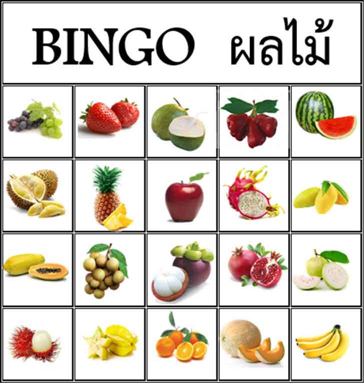 ������͡�����¹����͹ Bingo Fruits �ԧ⡼����