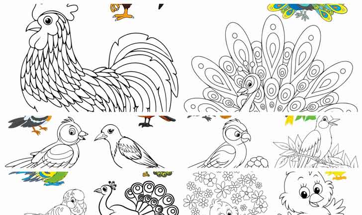 ͡¹͹ ҾҴкչ  ҹ ҾСͺѺҴ