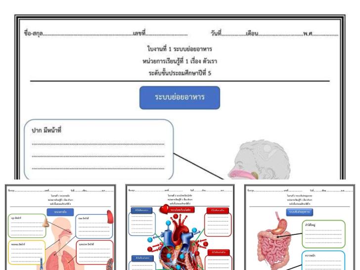 ͡¹͹ 㺧ҹԷʵ ͧ кеҧ ͧҧ