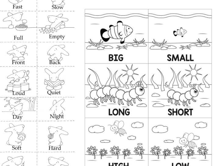 ������͡�����¹����͹ Opposite Word �ӵç�ѹ���� �����������к�������ҧ��ä�ŧҹ�ͧ����ͧ