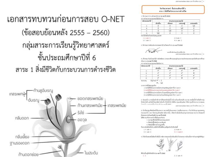 ������͡�����¹����͹ �͡��÷��ǹ��͹����ͺ O-NET (����ͺ��͹��ѧ 2555-2560) ��������С�����¹����Է����ʵ�� ��鹻�ж��֡�һշ�� 6 ���з�� 1 ����ժ��Ե�Ѻ��кǹ��ô�ç���Ե