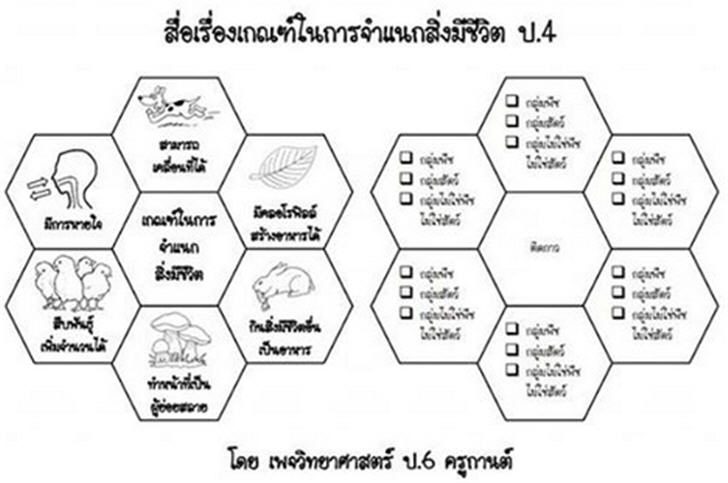 ͡¹͹ 㺤ԪԷʵ .4 ͧ ࡳ㹡èṡժԵ