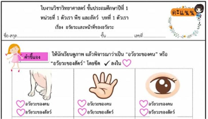 ͡¹͹ 㺧ҹԷʵ  .1 ͧ ˹ҷͧ ԨóТͧТͧѵ