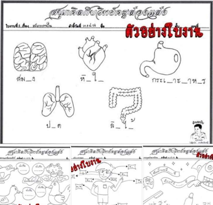 ͡¹͹ 㺧ҹԷʵ .1 çǪѴ ӹǹ 16 㺧ҹ