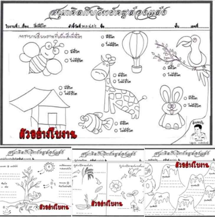 ͡¹͹ 㺧ҹԷʵ .2 çǪѴ ӹǹ 15 㺧ҹ