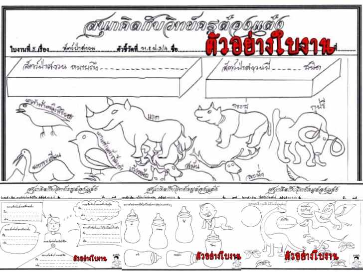 ͡¹͹ 㺧ҹԷʵ .3 çǪѴ ӹǹ 22 㺧ҹ