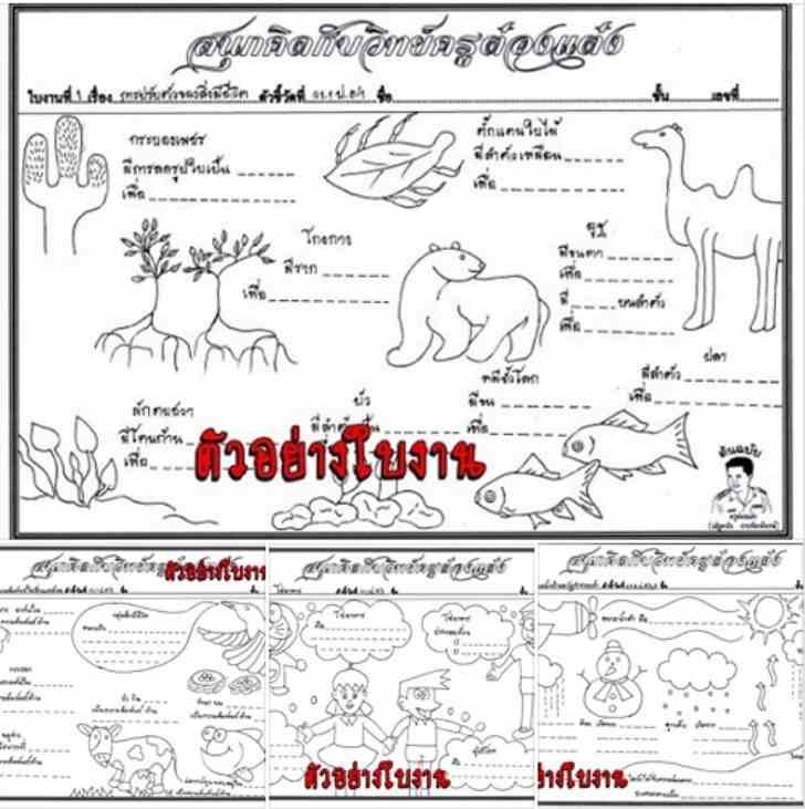 ͡¹͹ 㺧ҹԷʵ .5 çǪѴ ӹǹ 19 㺧ҹ