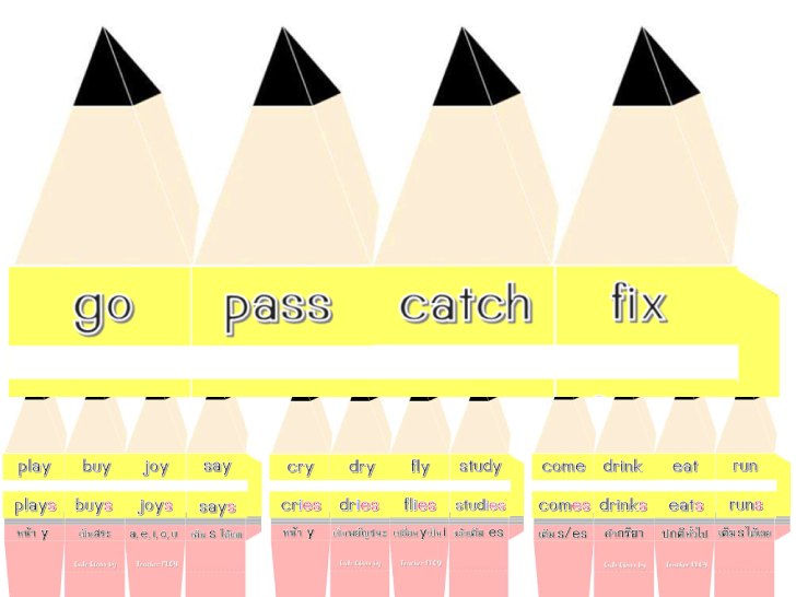 ������͡�����¹����͹ �Թ�;Ѻ 3 �Ե� ��ѡ������ s/es ���ӡ����