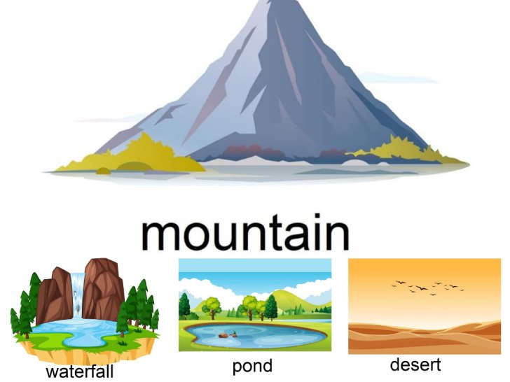 ������͡�����¹����͹ ���Ѿ�������ѧ�������ǡѺ�����ҵԾ�����ٻ�Ҿ��Сͺ