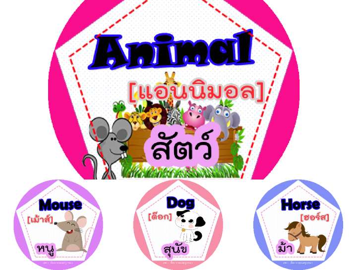 ������͡�����¹����͹ �١����ѵ����Ѿ�������ѧ���