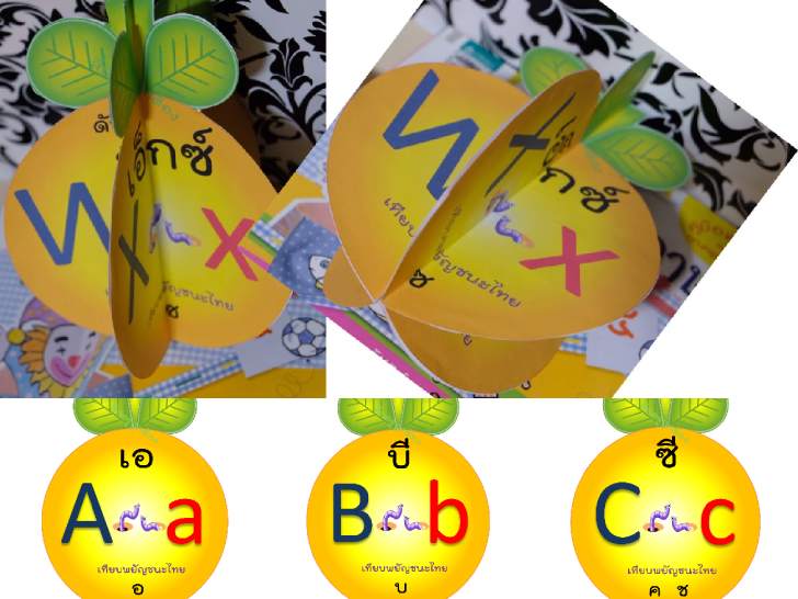 ������͡�����¹����͹ ��ͺ�Ѿ�ٻ������ѭ��������ѧ�����º��ѭ�����