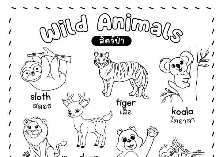 ҾкǴѵ Wild Animals Ѿѧ