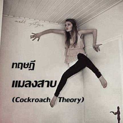 ɮŧҺ (Cockroach Theory)  դآ зء 觷Դ㹪Եͧ١ͧἹҧ͡  դآ ʵзȹԷշյͻѭҵҧ 㹪Եҡ