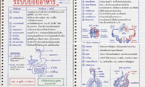 ใบความรู้ สรุปวิชาวิทยาศาสตร์ เรื่อง ระบบร่างกาย